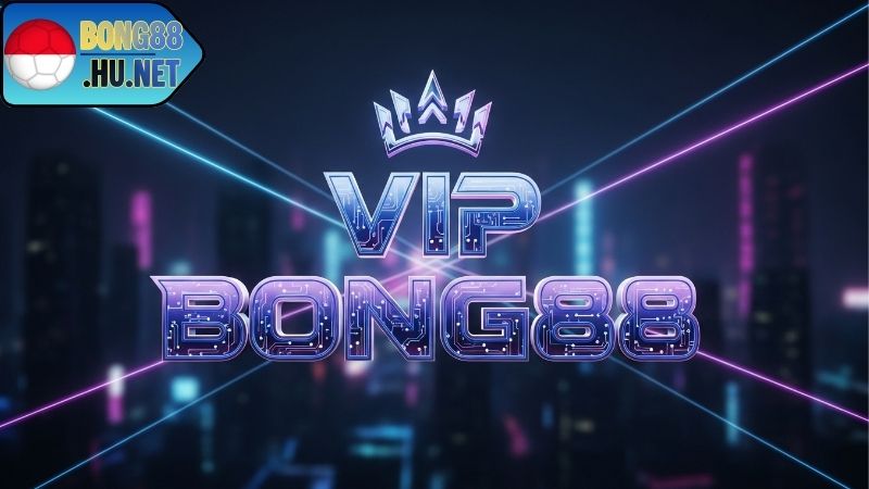 Khám phá chương trình VIP BONG88 độc quyền